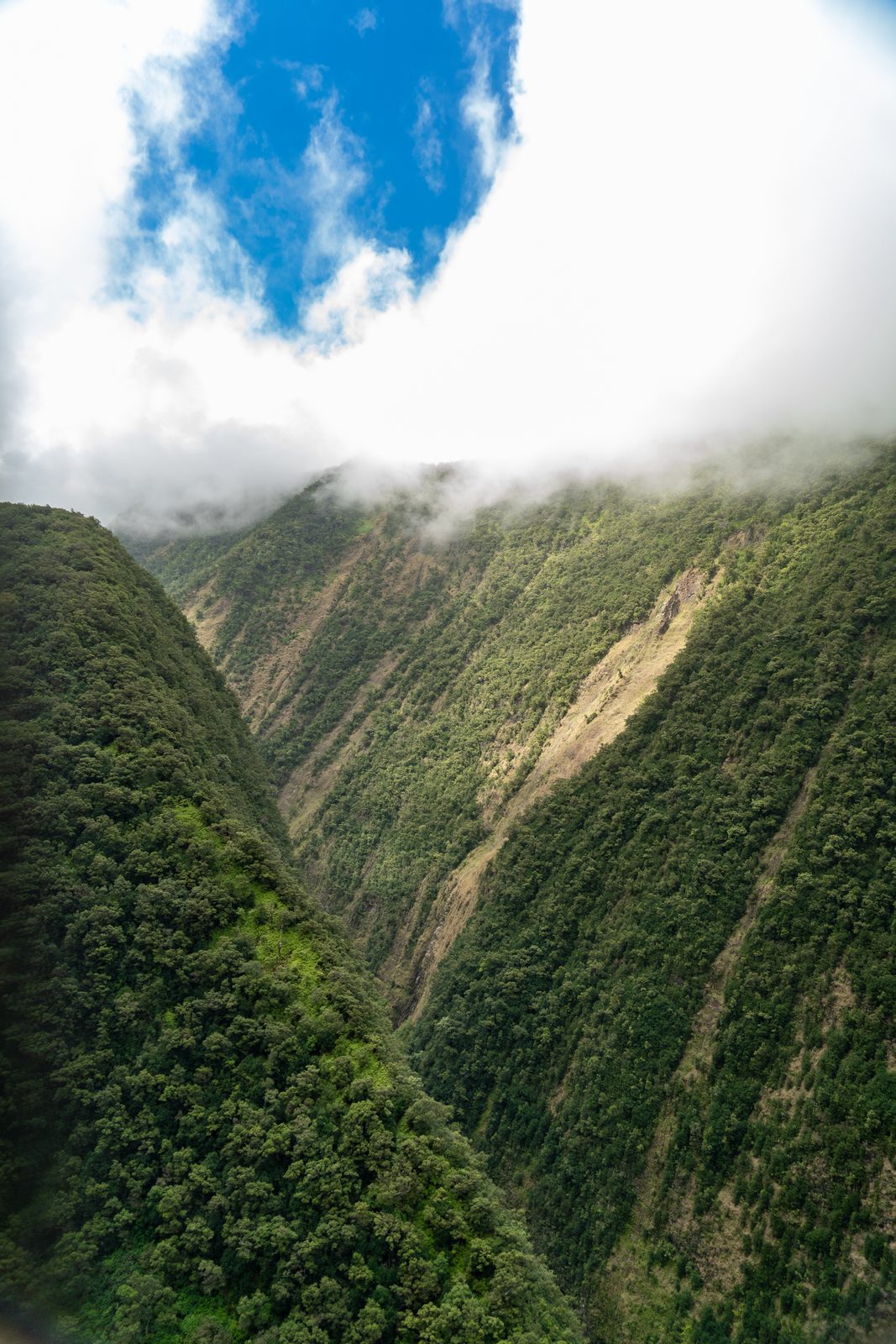 A misty mountain valley covered in dense green forest with dramatic rocky slopes and blue sky above.