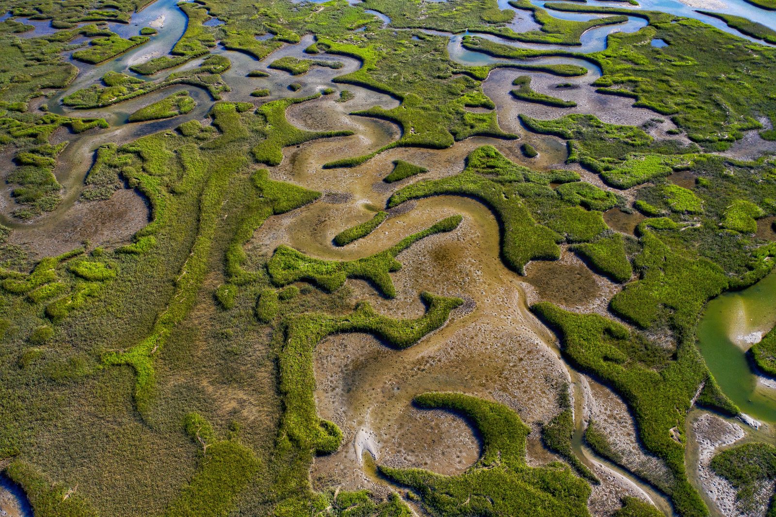 Aerial view of a salt marsh with winding tidal channels cutting through vibrant green vegetation and mudflats.