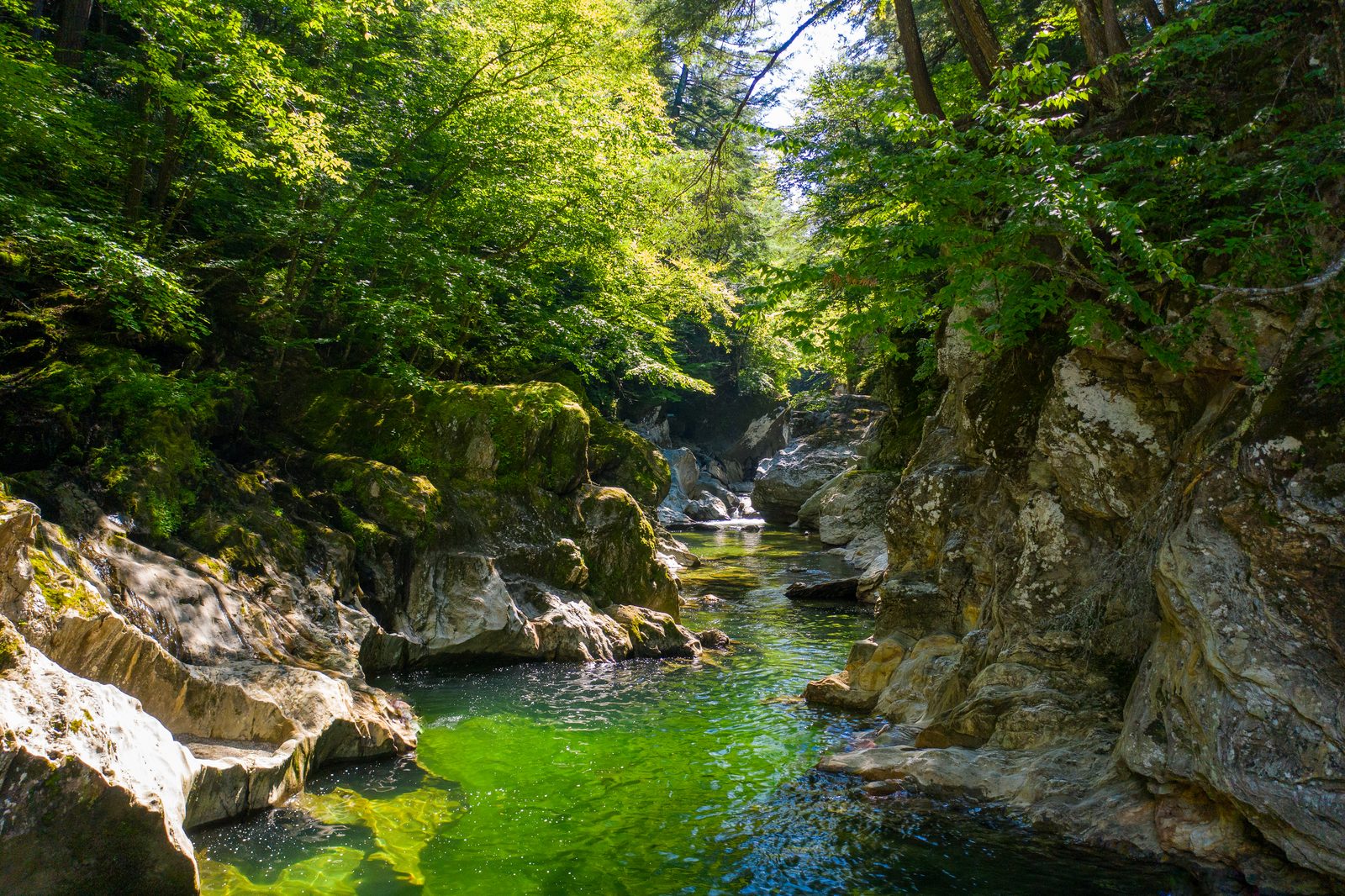 A serene forest gorge with emerald water flowing between moss-covered rocks beneath a verdant canopy.